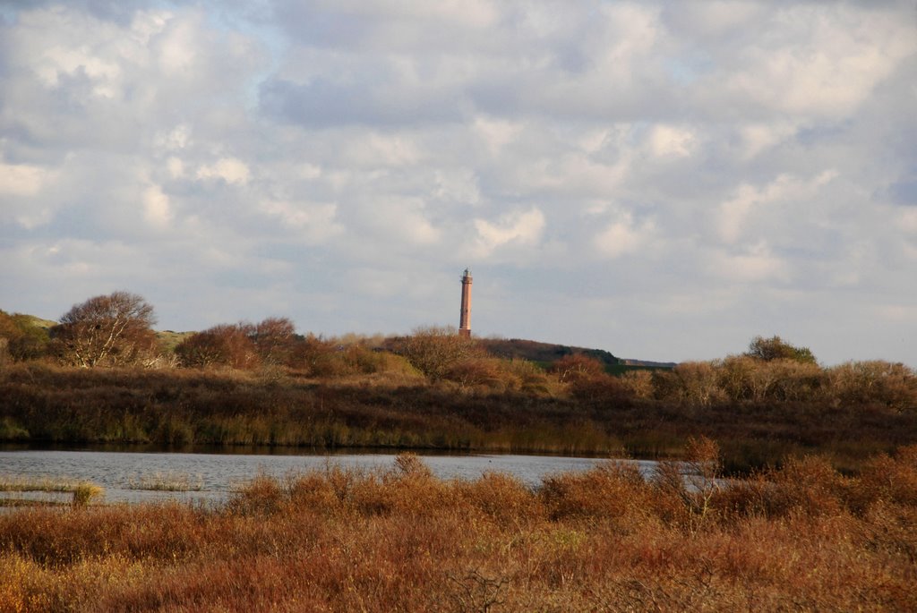 Südstrandpolder mit Blick auf Leuchturm by Dieter Hockertz