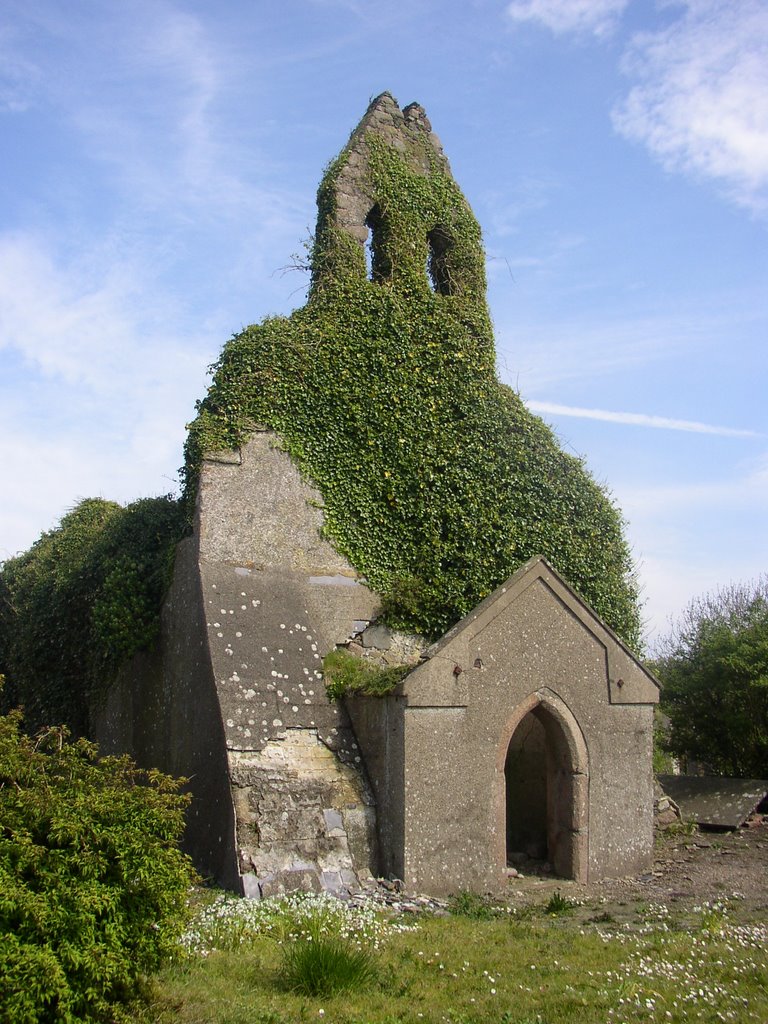 Church ruins Carne/Churchtown by clive woods