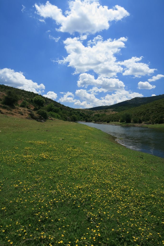 Buttercup Meadow, nr. Lago Alto di Flumendosa #1 by Brian Burnett