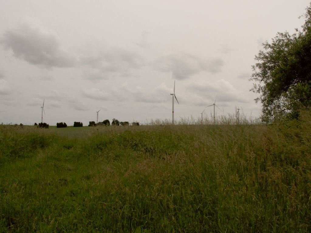 Eoliennes à l'arret by padre jeannot