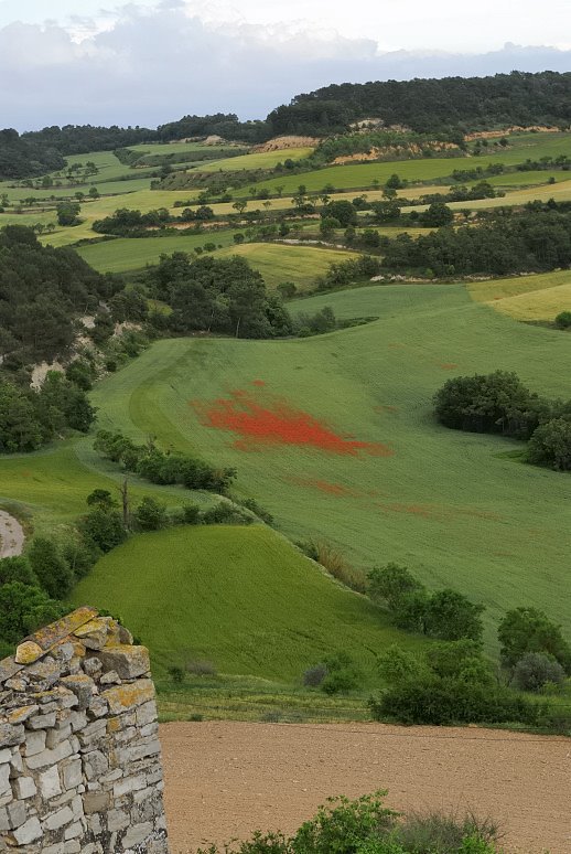 25214 Montfalcó Murallat, Lleida, Spain by Juan Ot