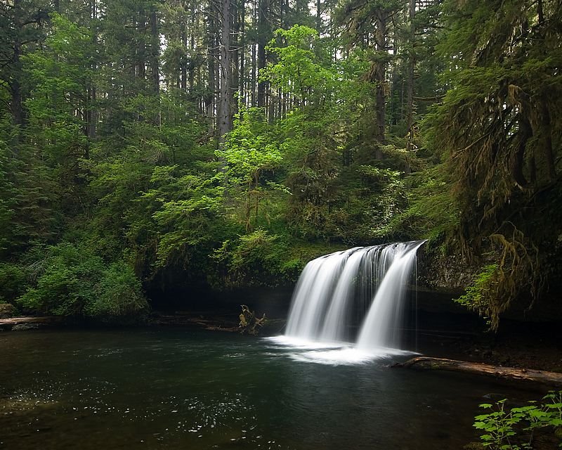 Upper Butte Creek Falls by Aaron Nuffer