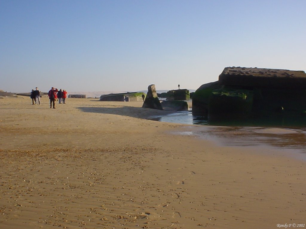 Cap Ferret by Randy.P