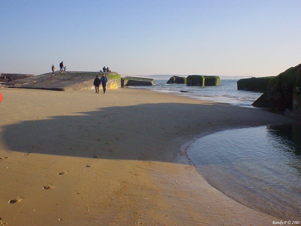 Cap Ferret by Randy.P