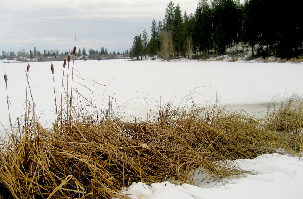 Medical Lake in Winter by SpektrumEnt