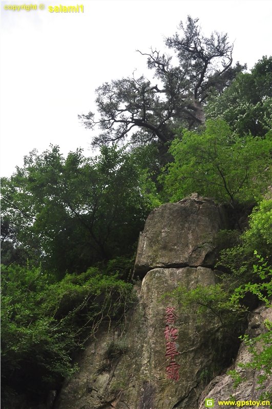 Taishan, Tai'an, Shandong, China by mataoan