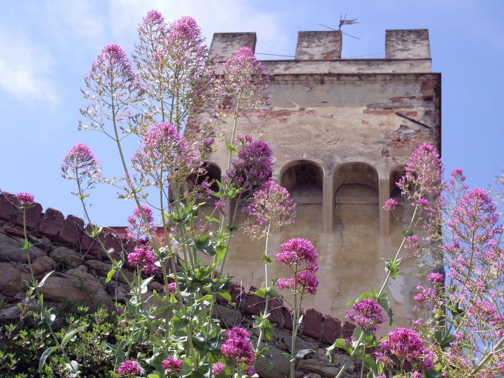 Torre e fiori by Marco Maccioni