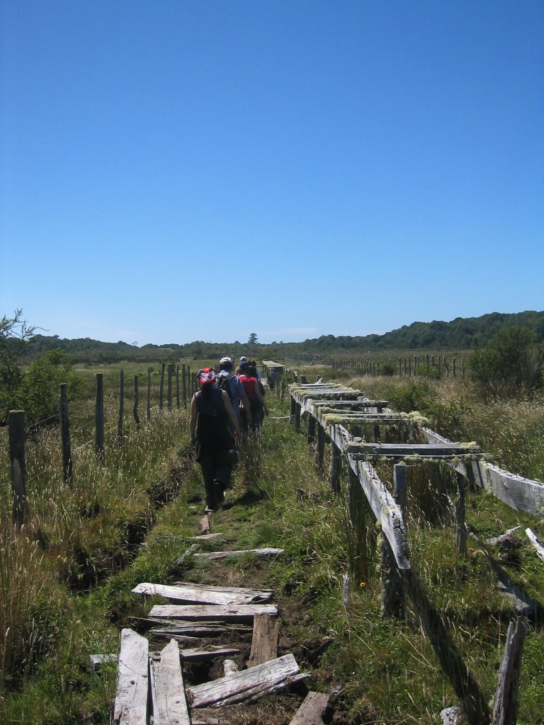 Next to the footpath on Chulín by www.dsfinfo.nl