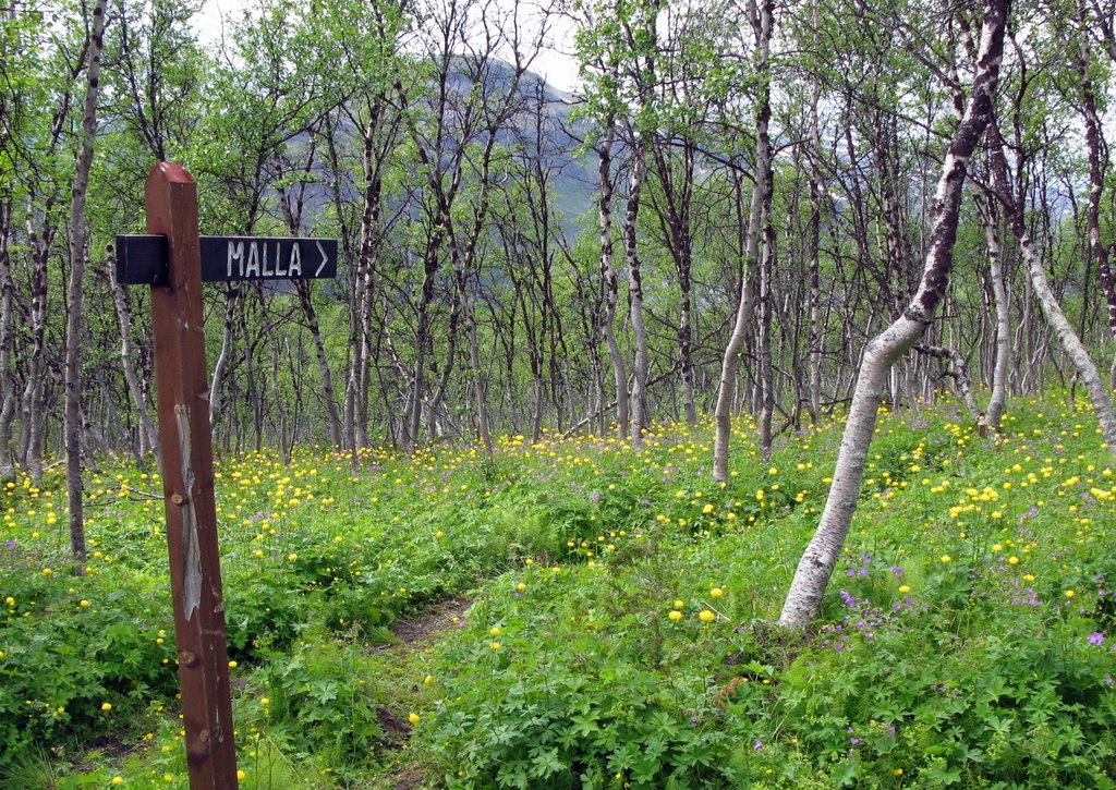 Pathway to Malla by becca8383