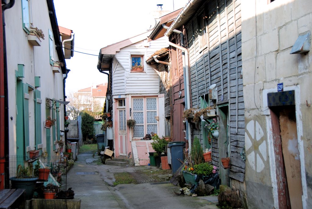 Les "Voyottes Bragardes" Habitations typiques dans le quartier de la Noue à Saint Dizier by LionelLebrun