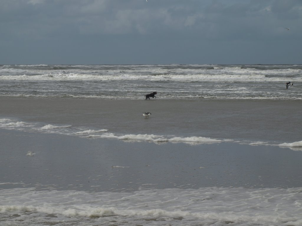 Het Noordzeestrand van Ameland by Hans R van der Woude