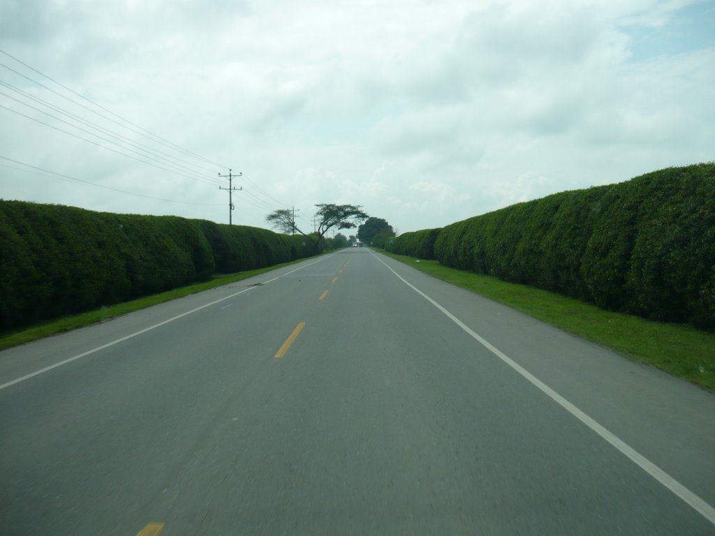 Via a Incauca by hectorosorio