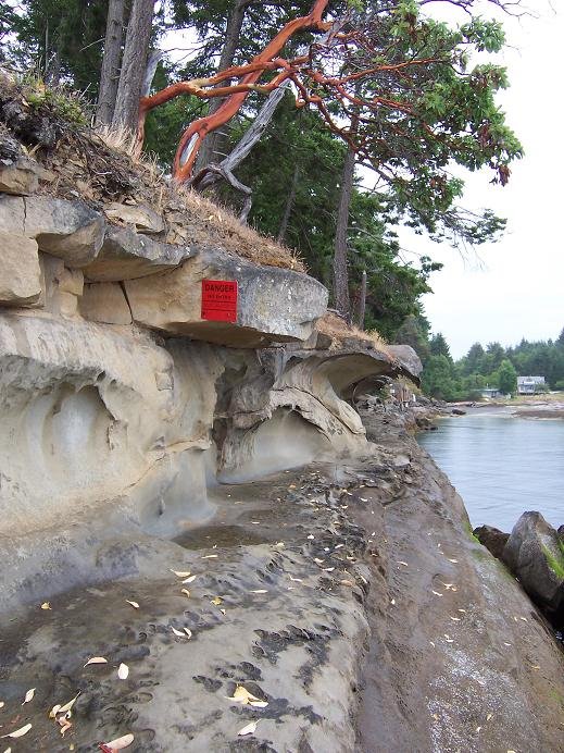 Malaspina Galleries on Gabriola Island, BC by bio2935c