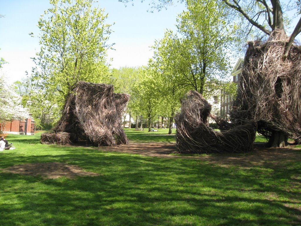 Square roots after tree, 2008 by monc