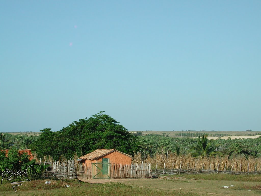 Luís Correia - State of Piauí, Brazil by ecedric