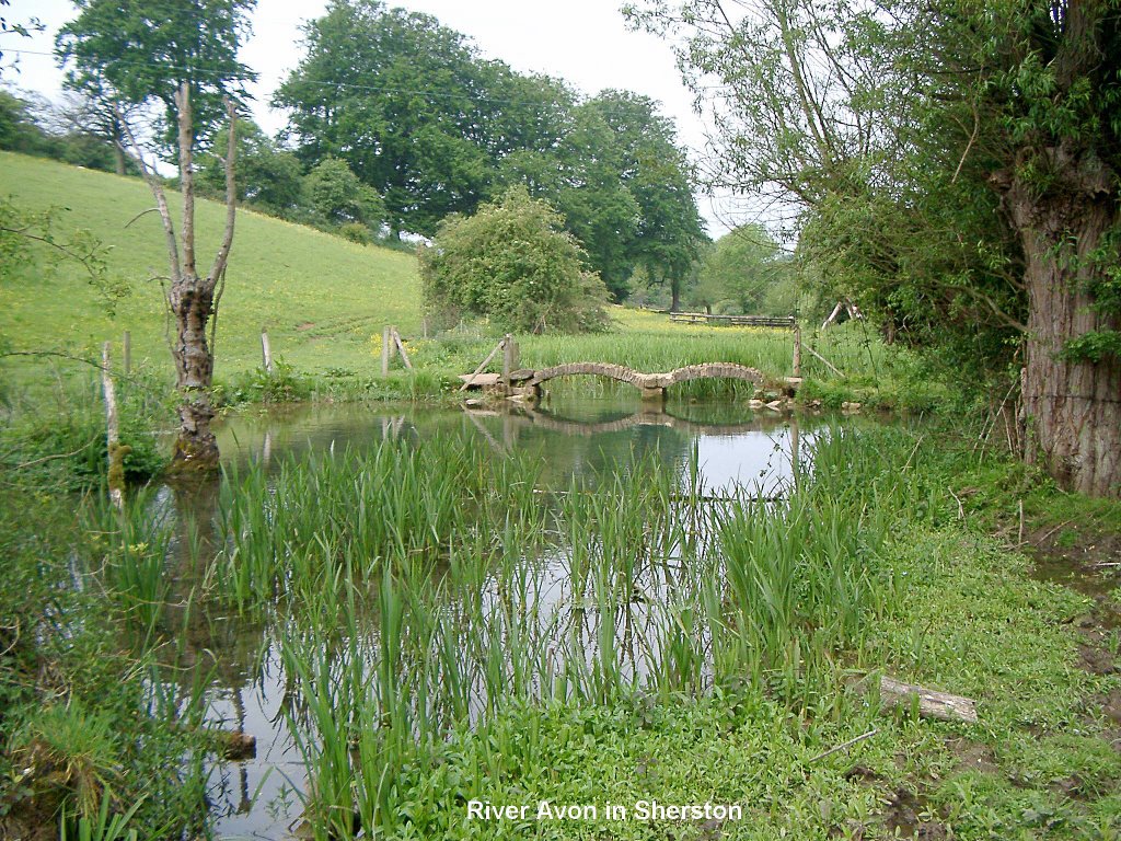 The River Avon at Sherston by Collin West