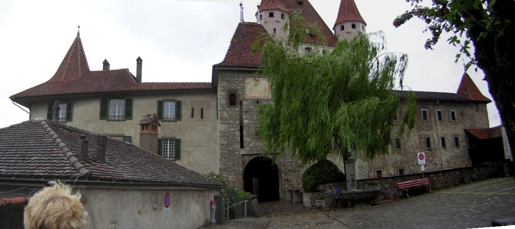 Burg Thun by rbobe