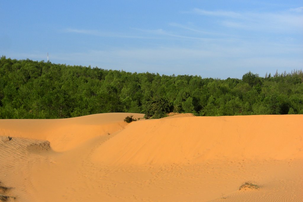 SUN DUNES by kelm