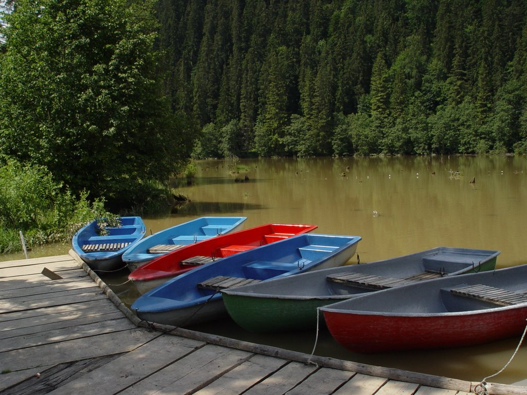 Gheorgheni, Romania by bandyras