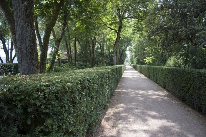 Jardins suspendus de Marqueyssac by Laura Sayalero Plate…