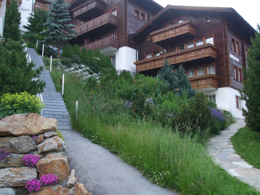 Saas Fee - Florid villa!!! by Isabel  R. Marques