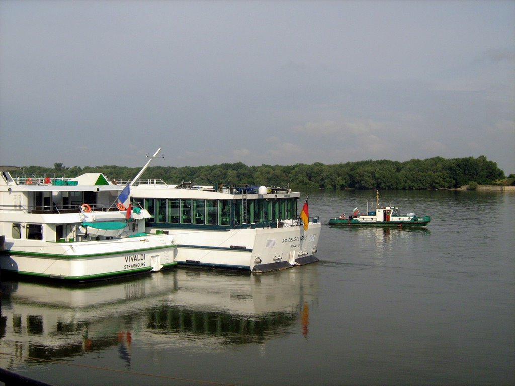 River cruise ships by tsolovi