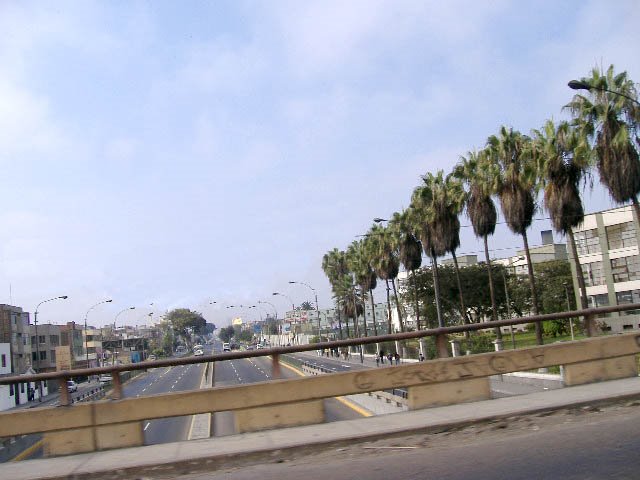 Puente Av. Brasil, Jesús María by irenelilay