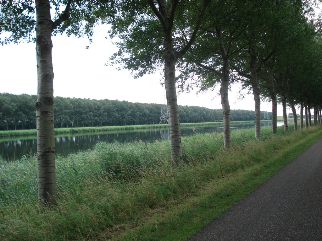 Bomen langs het Schelde-Rijnkanaal 2 by Jim Bernaards