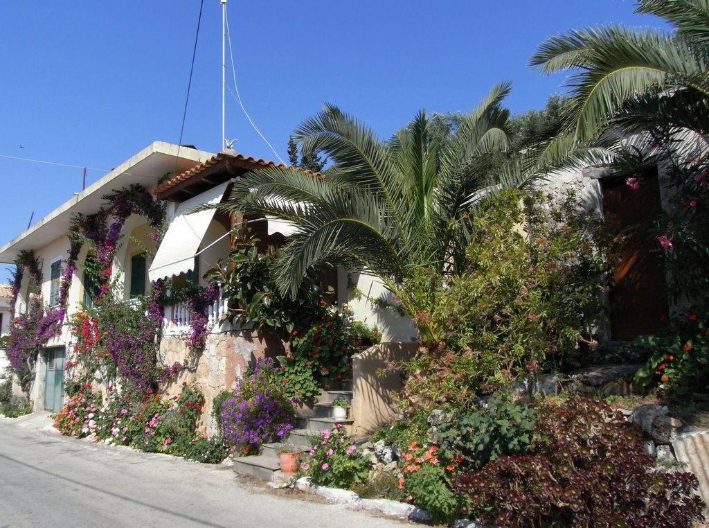 Le petit jardin botanique by Ingrid RG