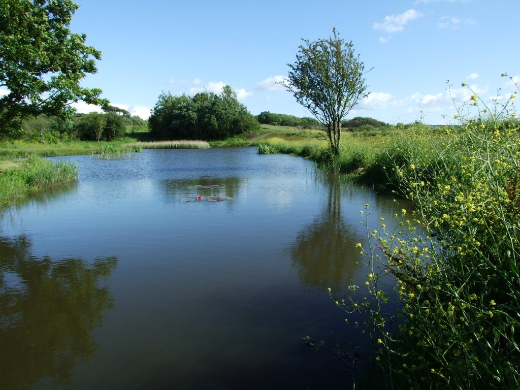 The pool by Slawomir Purzycki