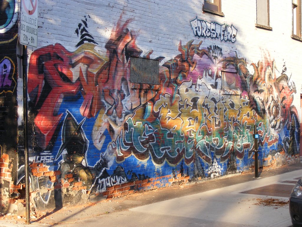 Graffitis de Montréal - ForestFire by dexterp