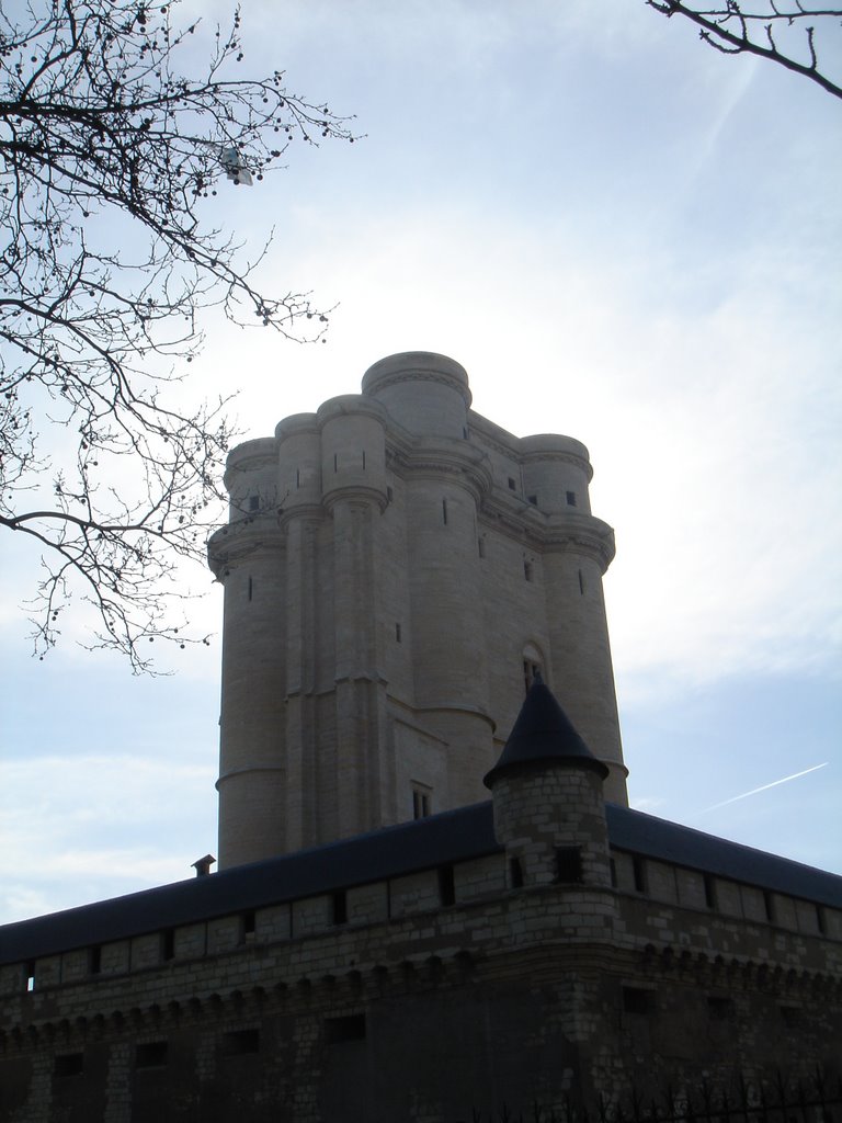 Donjon du chateau de Vincennes by wd_wood