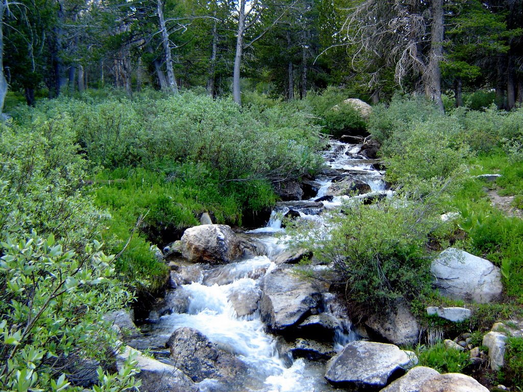 Stream Lamoille Canyon NV by Chanilim714