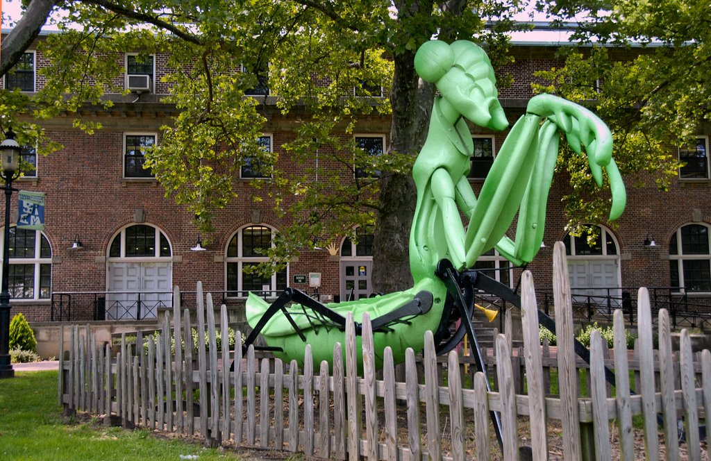 Guarding The Children's Museum at Sailor's Snug Harbor by Hank Waxman