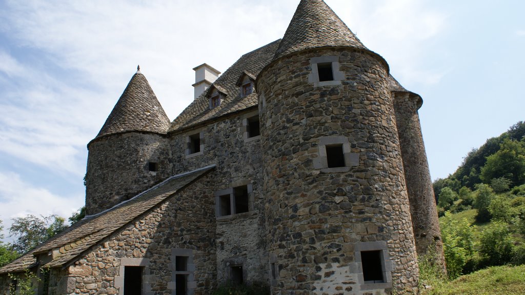 Le château de Celles by Defawe Lucien