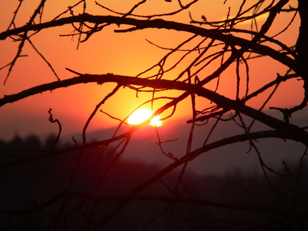 Tramonto sul Montello by barbara_z78