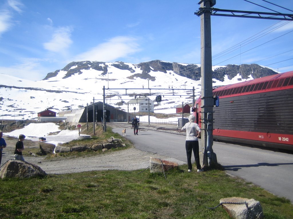 En gare de Finse 1222m : retour d'un skieur de fond avec son chien. by mfe