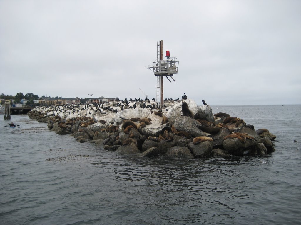 Monterey, CA by NEE