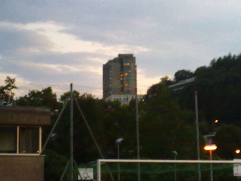 Hospital Skyscraper Viewed From Park by TYRA