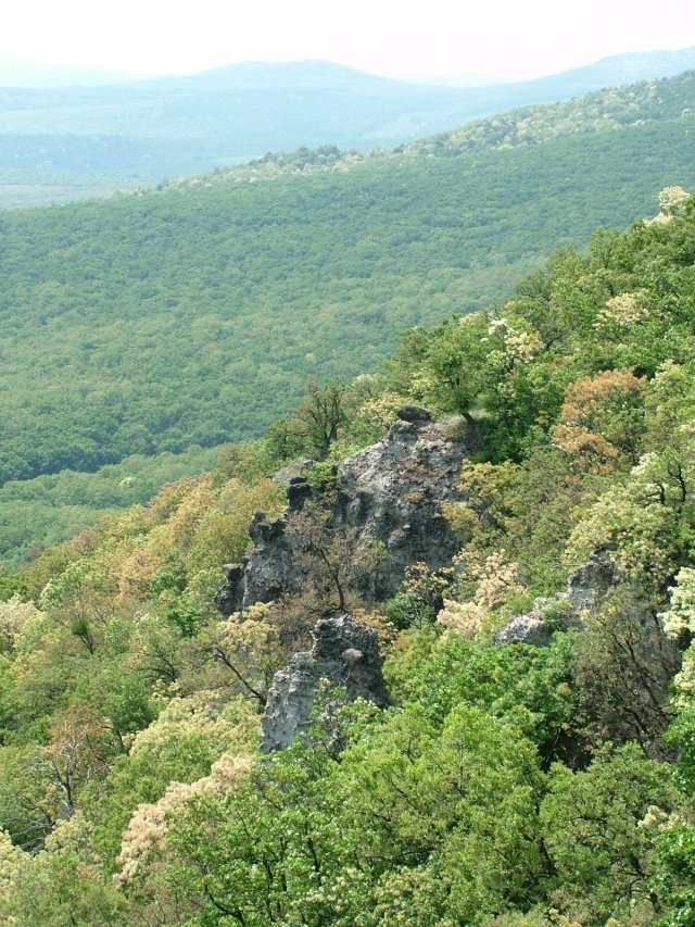 Pomáz, Kőhegy, Spring by Janka László