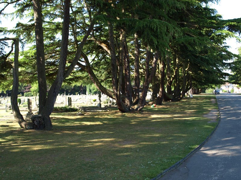 Bournemouth Crematorium & North Cemetery by dunkindiver