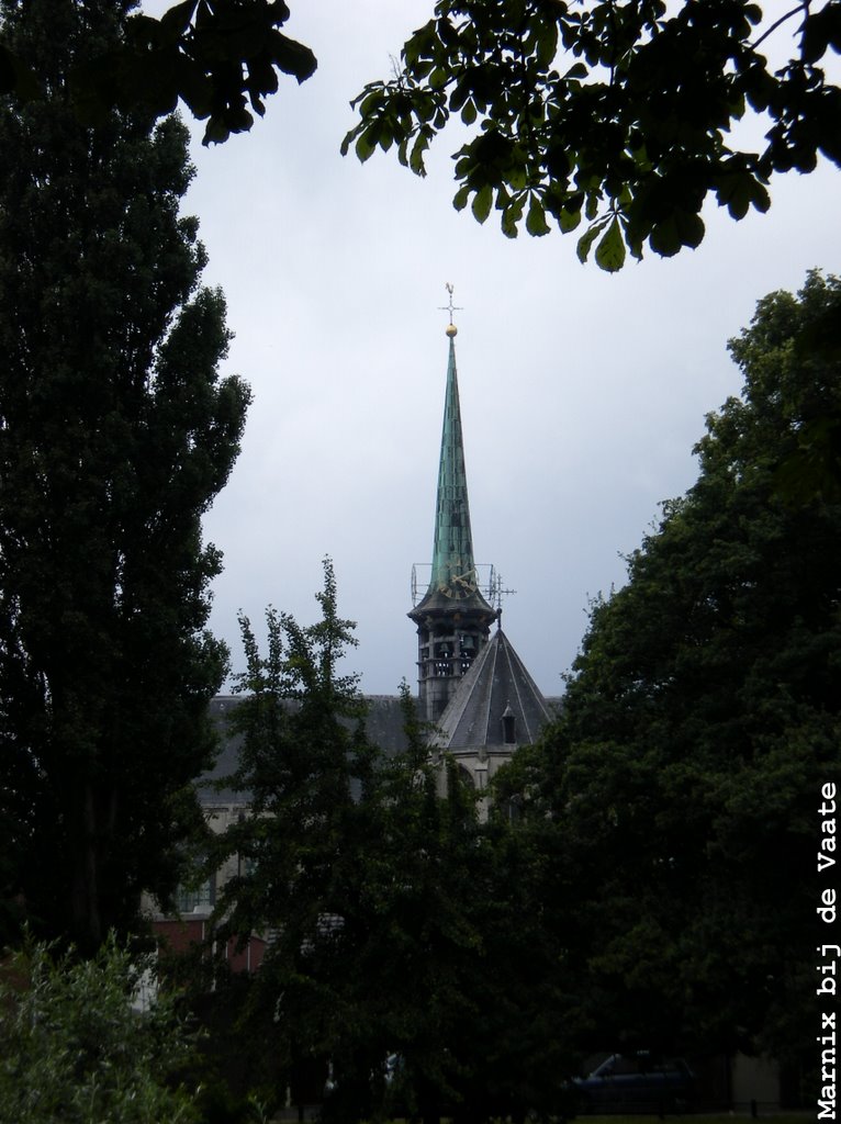 Grote of Maria Magdalenakerk by Marnix bij de Vaate