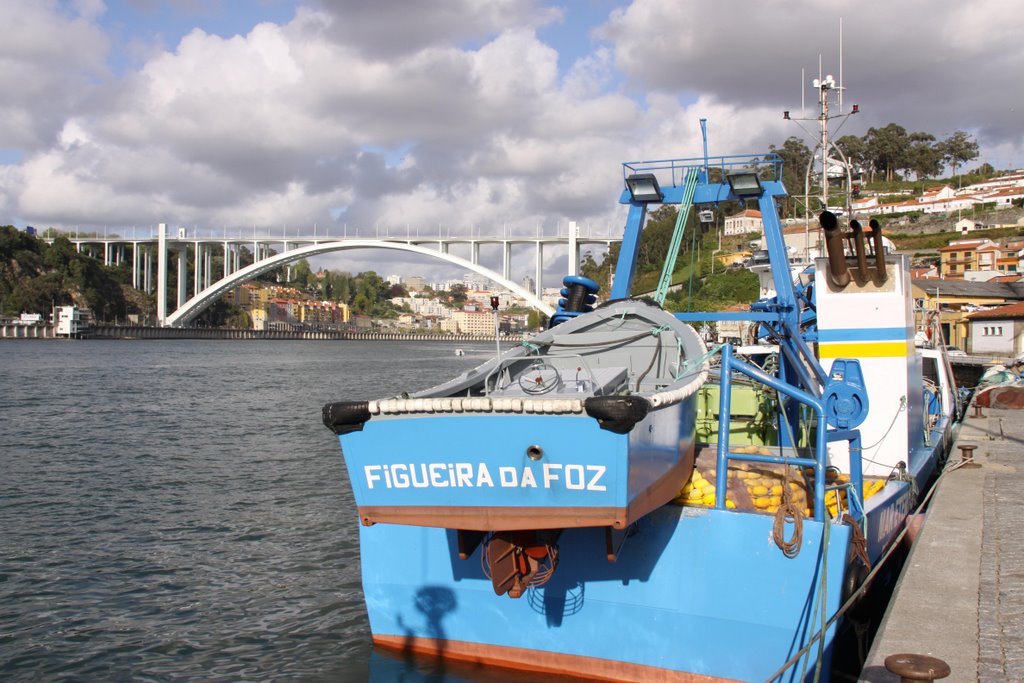 Figueira da Foz veio ao Porto by majosilveiro - João da mestra