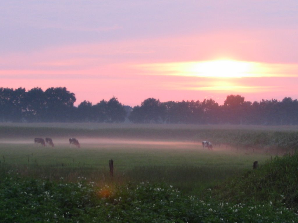 Coevorden zon mist by woelie