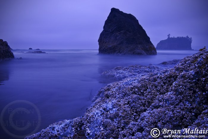 Sea Stacks before Dawn by WildernessShots.com