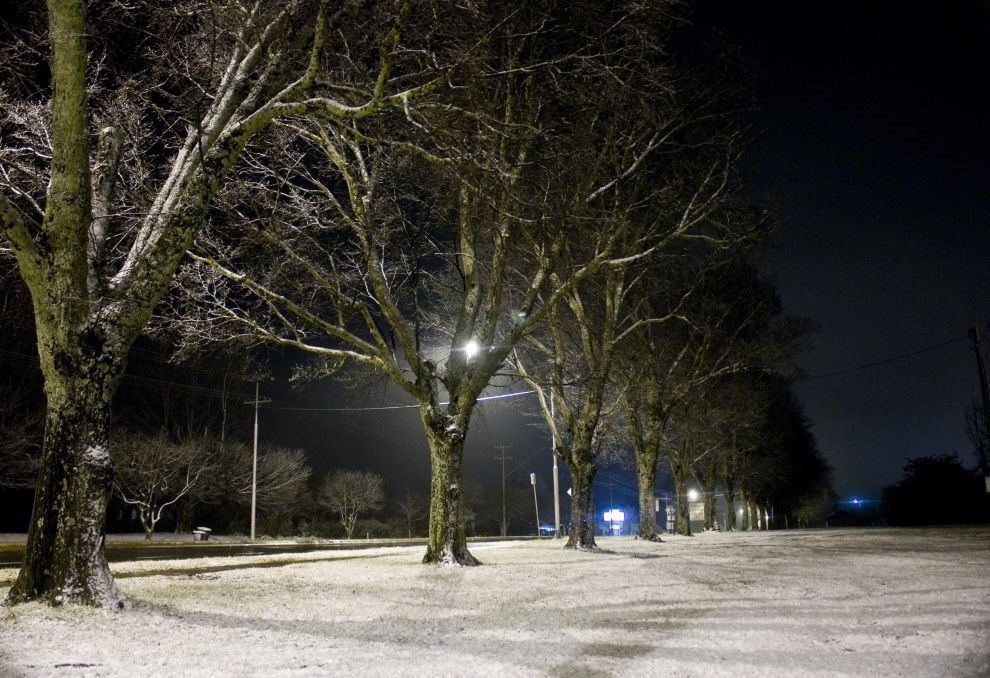 Snow in Guyra by Michael Gill