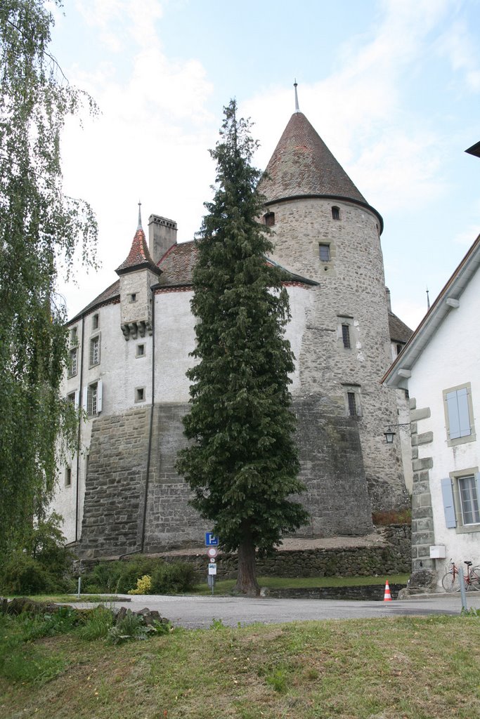 Château d'Oron le donjon by andre.locher