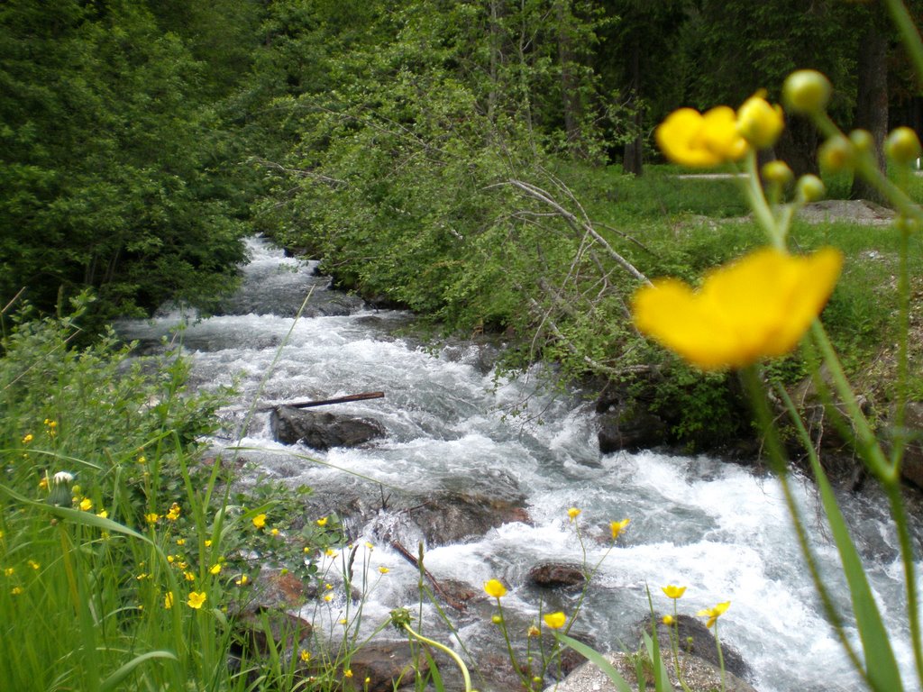 Valle di Anterselva by Vincenzo Sasso