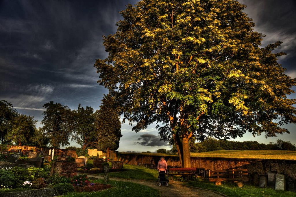 Friedhof Erlenbach by Stefan Treitz