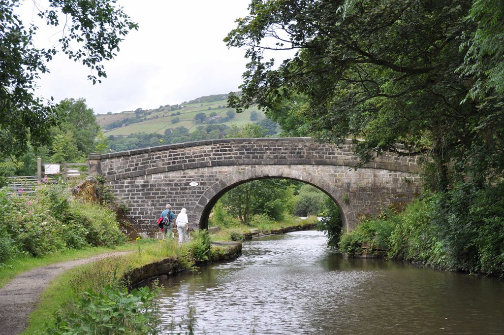 2009.07.12 - Rochdale Canal - Brearley by David R Williams